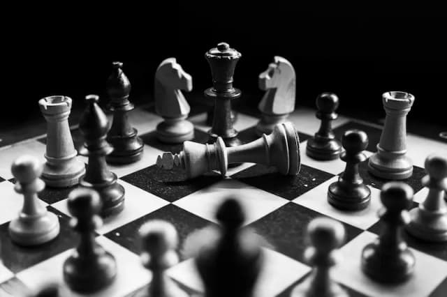 Conseil en Ressources Humaines